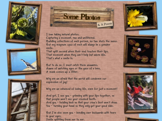 photography screenshot