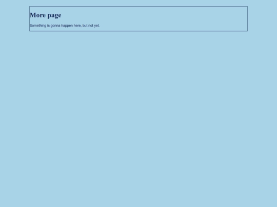 more screenshot