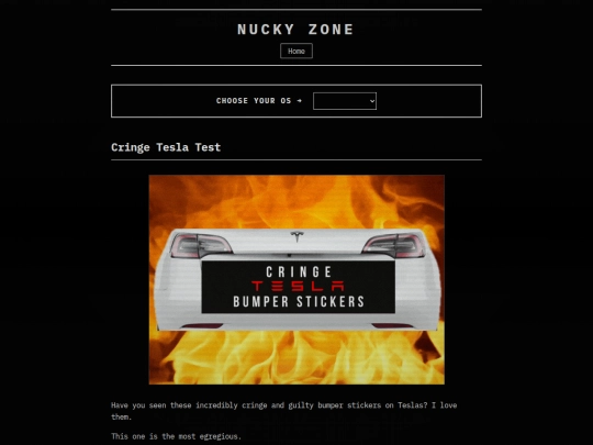 blog/posts/cringetsla screenshot