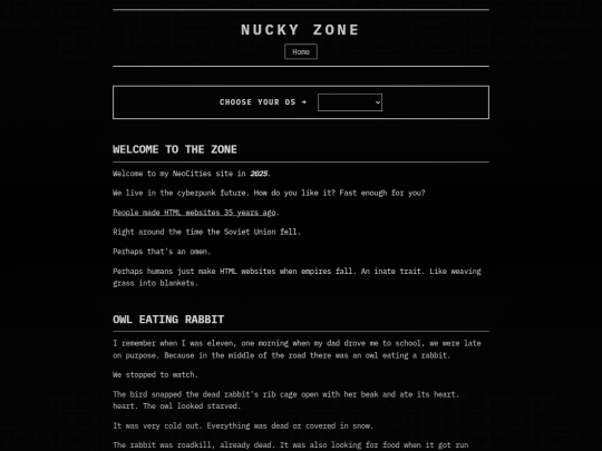 blog/posts/enterthezone screenshot