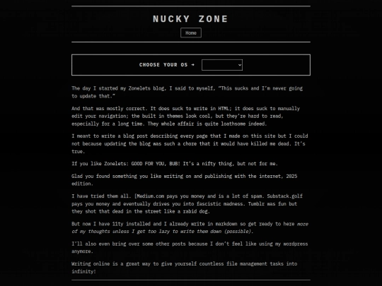 blog/posts/ripzonelets screenshot