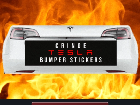tests/tsla_bumper_stickers screenshot