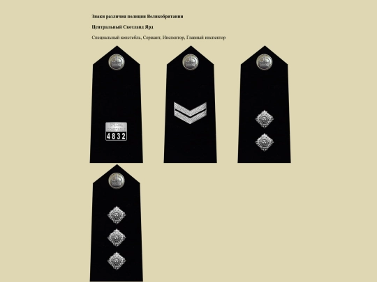 pages/englpolic screenshot