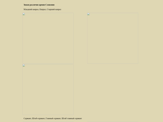 pages/sloven screenshot