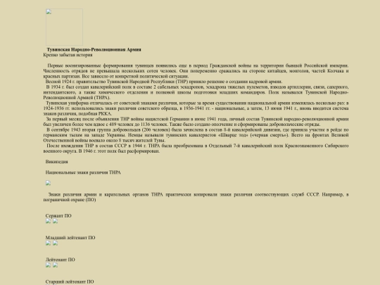 pages/tuvaarmy screenshot