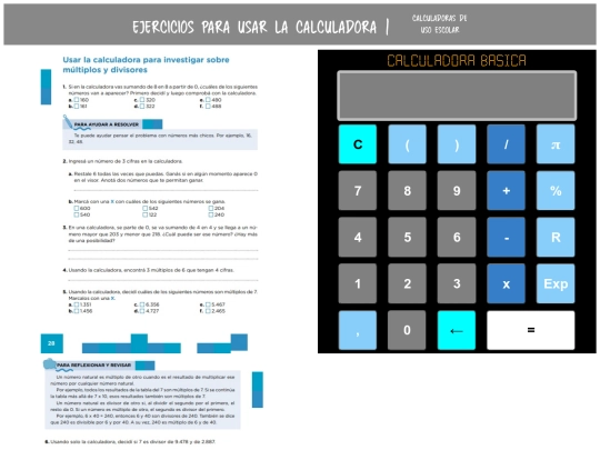 pages/paginas28y29 screenshot