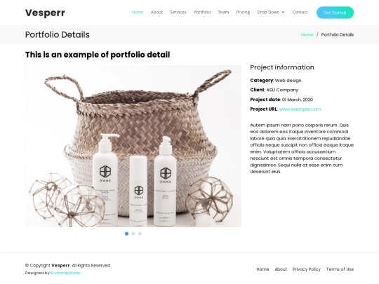 portfolio-details screenshot