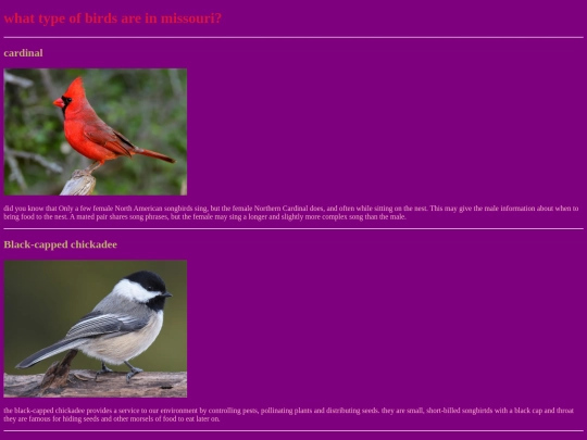 birds screenshot