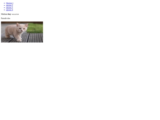 1pag screenshot