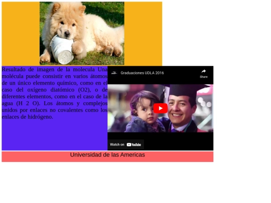 imagvid screenshot