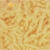cheese-burrito.neocities.org avatar