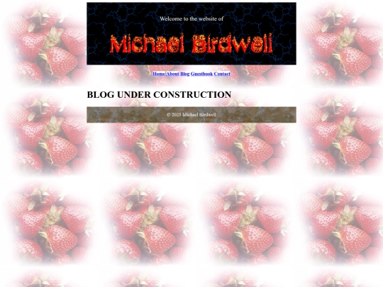 blog screenshot