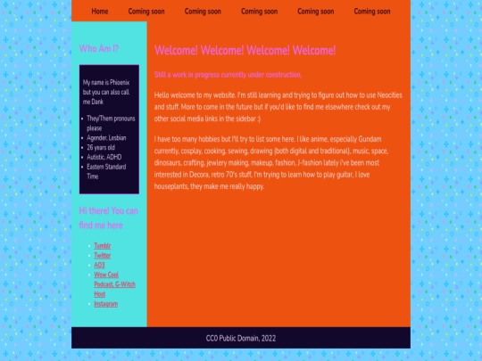 index screenshot