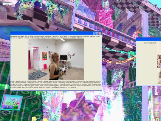 diary screenshot