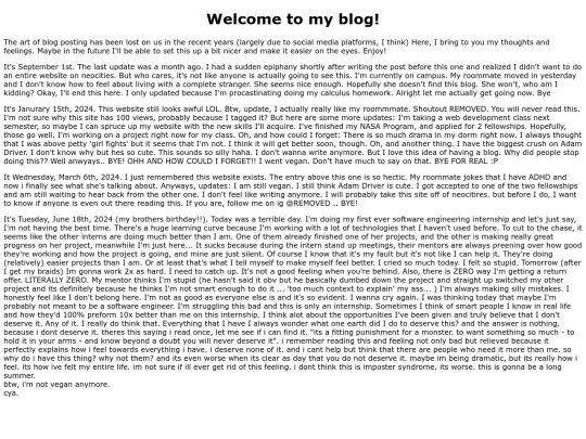 blog screenshot