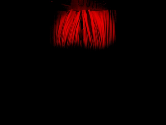 sunflower/curtains screenshot