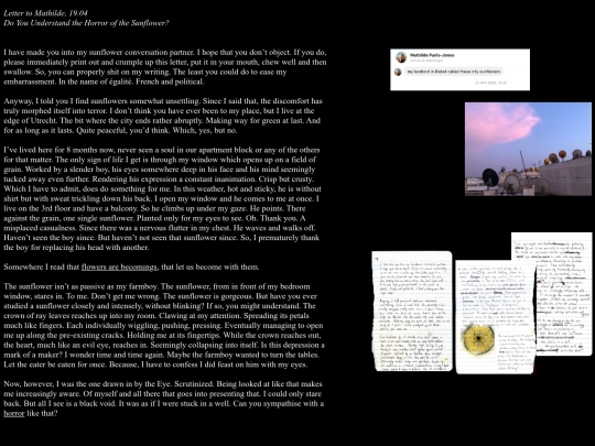 sunflower/lettertomathilde screenshot