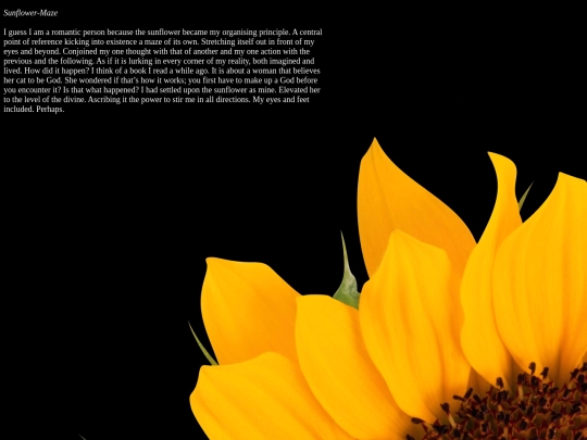 sunflower/principle screenshot