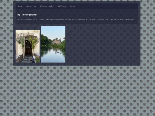 photography screenshot