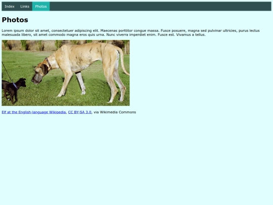 photos screenshot