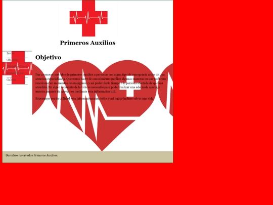 paginas/objetivo screenshot
