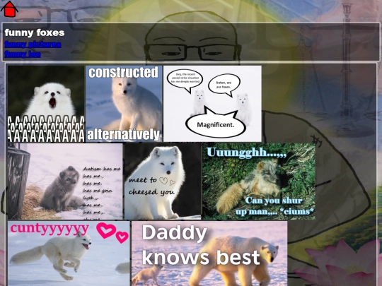 foxgallery screenshot