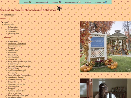 Shows screenshot