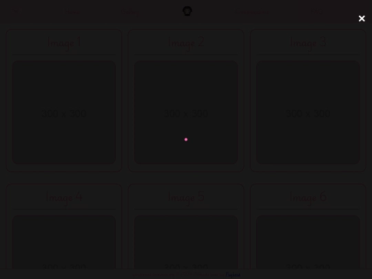 gallery screenshot