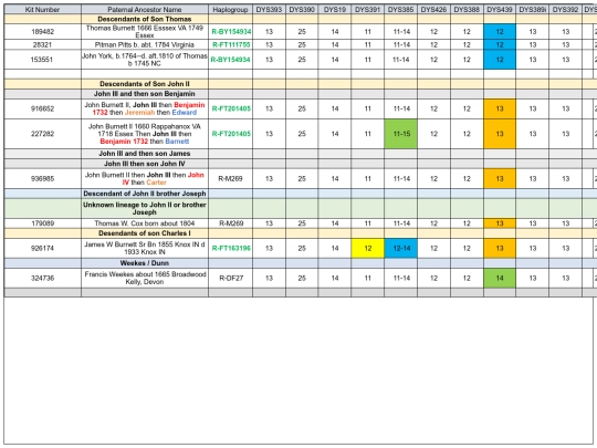 Male_YDNA_Test_Results screenshot