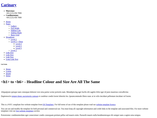 carinary/full-width screenshot