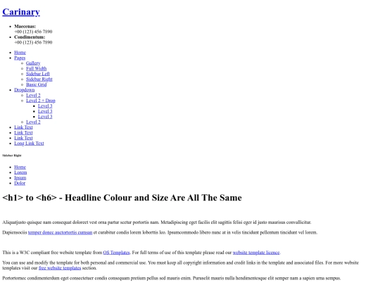 carinary/sidebar-right screenshot