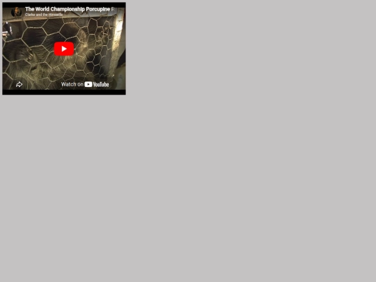 porcupine screenshot