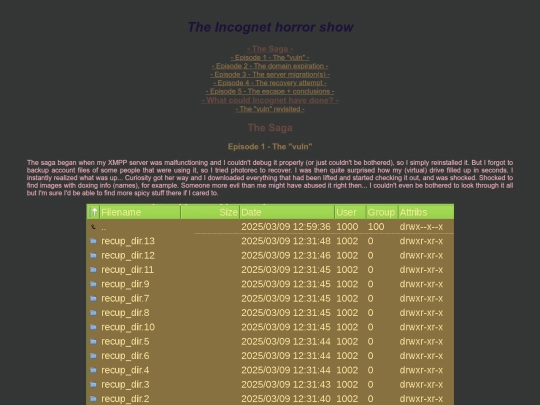 articles/incognet.xhtml screenshot