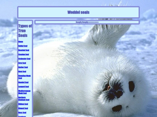 seals/weddel screenshot