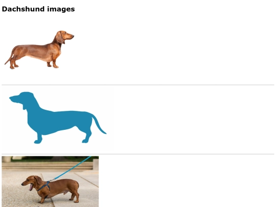 dachshunds screenshot
