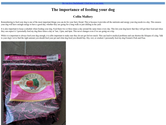 dogfeed screenshot