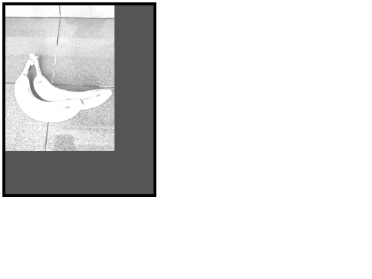 e screenshot