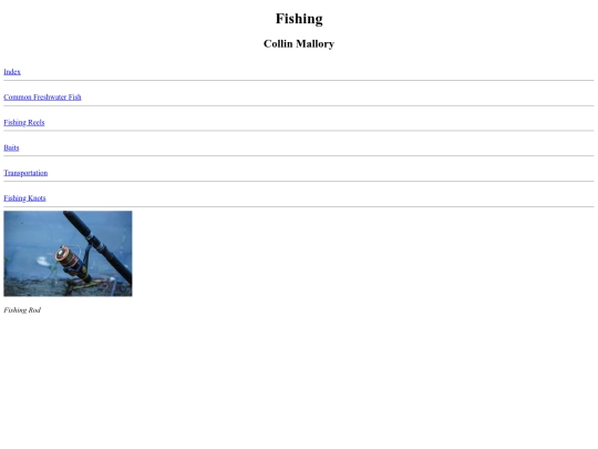 fina/Index screenshot