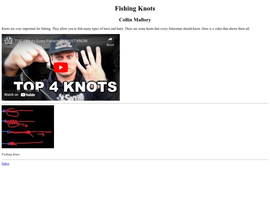 fina/knot screenshot