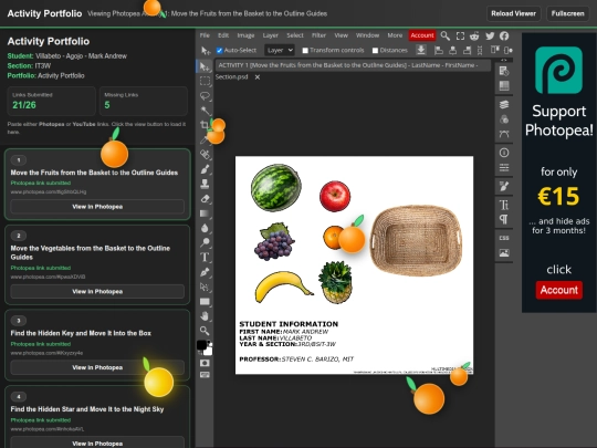 Online Activity Portfolio screenshot