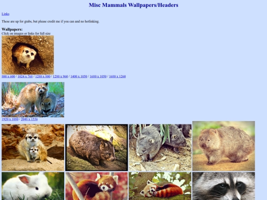 NonFandomDigitalIcons/Artwork/03cOtherMammalsWallpapersHeaders screenshot
