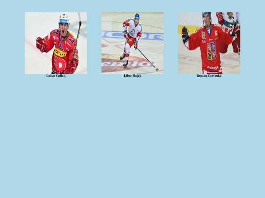 cz hok screenshot
