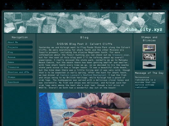 blog screenshot