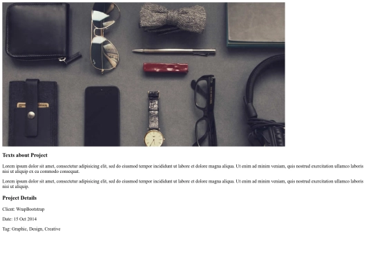portfolio-single screenshot