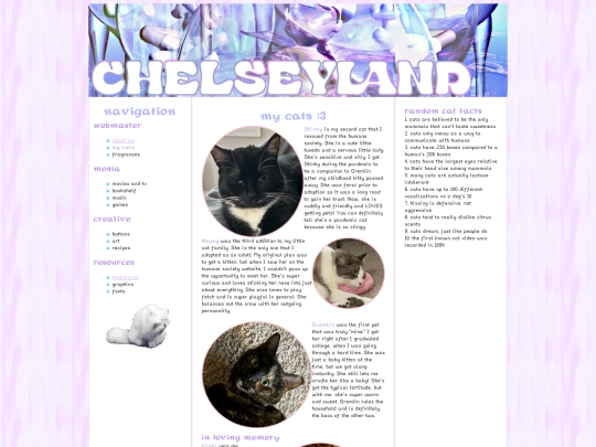 mycats screenshot
