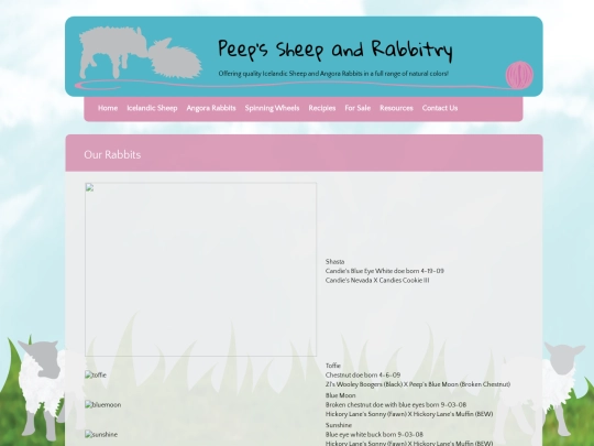 OpenChoise/ourrabbits screenshot