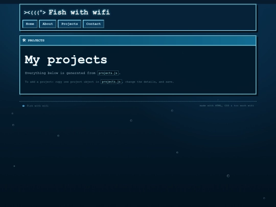 projects screenshot