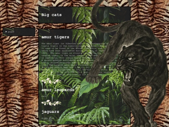 bigcats screenshot