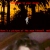 GET OUT WHILE YOU STILL CAN avatar