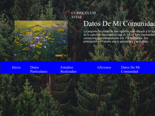 nuevoWeb/comunidad screenshot